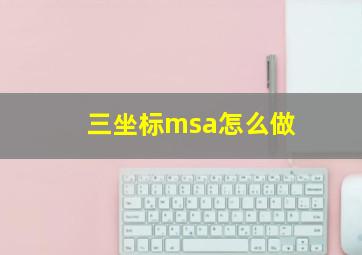 三坐标msa怎么做