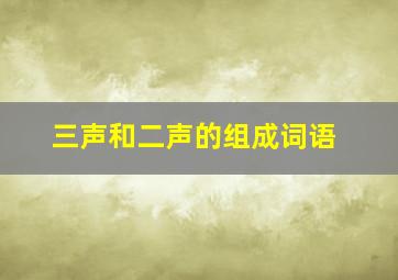 三声和二声的组成词语