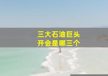 三大石油巨头开会是哪三个