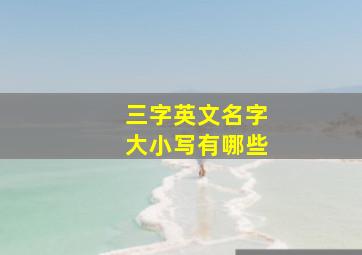 三字英文名字大小写有哪些