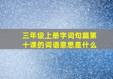 三年级上册字词句篇第十课的词语意思是什么