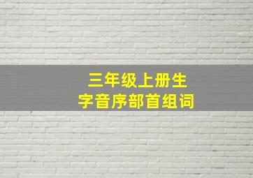 三年级上册生字音序部首组词