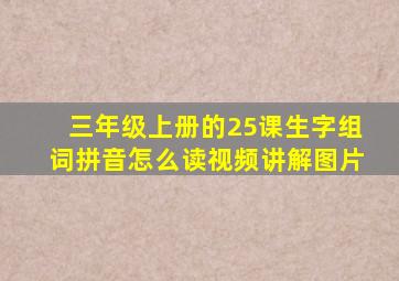 三年级上册的25课生字组词拼音怎么读视频讲解图片