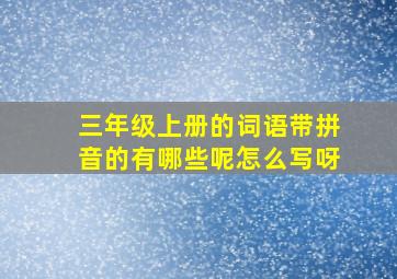 三年级上册的词语带拼音的有哪些呢怎么写呀