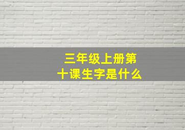 三年级上册第十课生字是什么