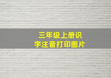 三年级上册识字注音打印图片