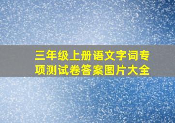 三年级上册语文字词专项测试卷答案图片大全