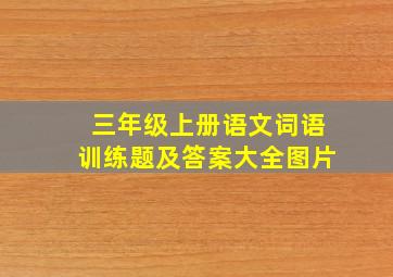 三年级上册语文词语训练题及答案大全图片