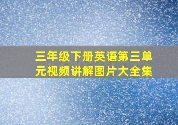 三年级下册英语第三单元视频讲解图片大全集