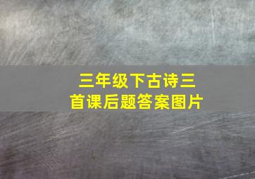 三年级下古诗三首课后题答案图片