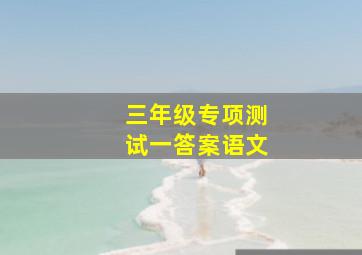 三年级专项测试一答案语文