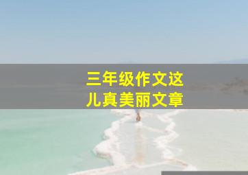 三年级作文这儿真美丽文章