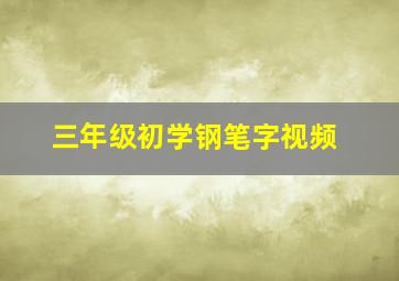 三年级初学钢笔字视频