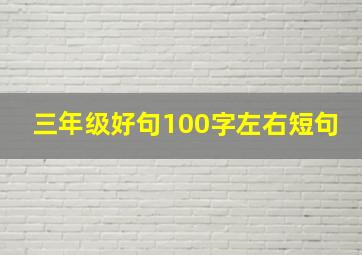 三年级好句100字左右短句