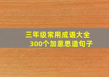 三年级常用成语大全300个加意思造句子