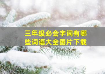 三年级必会字词有哪些词语大全图片下载