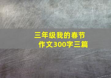 三年级我的春节作文300字三篇