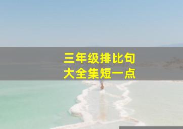 三年级排比句大全集短一点