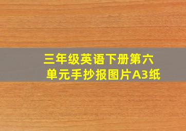 三年级英语下册第六单元手抄报图片A3纸