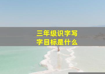 三年级识字写字目标是什么