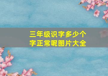 三年级识字多少个字正常呢图片大全