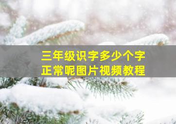 三年级识字多少个字正常呢图片视频教程