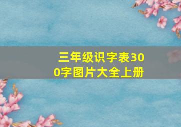 三年级识字表300字图片大全上册