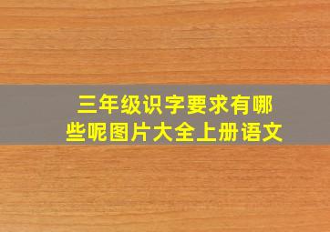 三年级识字要求有哪些呢图片大全上册语文