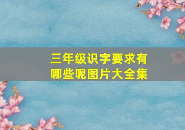 三年级识字要求有哪些呢图片大全集