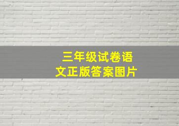 三年级试卷语文正版答案图片