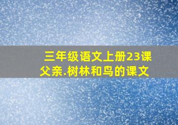 三年级语文上册23课父亲.树林和鸟的课文