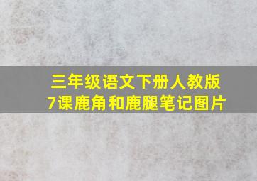 三年级语文下册人教版7课鹿角和鹿腿笔记图片