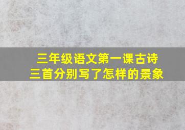 三年级语文第一课古诗三首分别写了怎样的景象