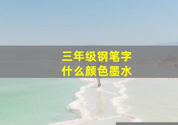 三年级钢笔字什么颜色墨水