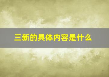 三新的具体内容是什么