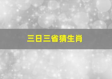 三日三省猜生肖