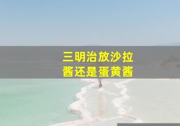 三明治放沙拉酱还是蛋黄酱