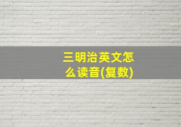 三明治英文怎么读音(复数)