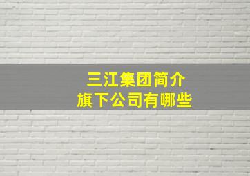 三江集团简介旗下公司有哪些