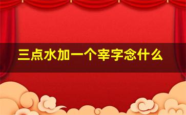 三点水加一个宰字念什么