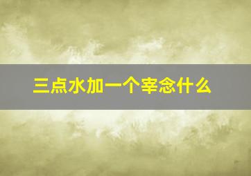 三点水加一个宰念什么