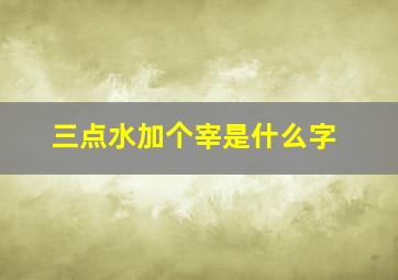 三点水加个宰是什么字