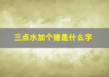 三点水加个猪是什么字