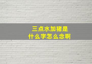 三点水加猪是什么字怎么念啊