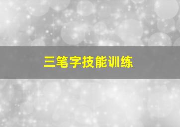 三笔字技能训练