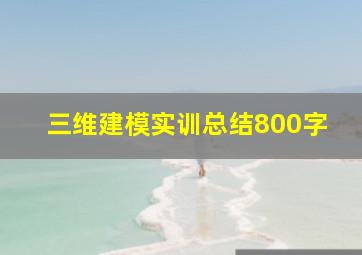 三维建模实训总结800字