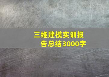 三维建模实训报告总结3000字