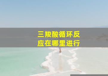 三羧酸循环反应在哪里进行