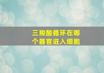 三羧酸循环在哪个器官进入细胞