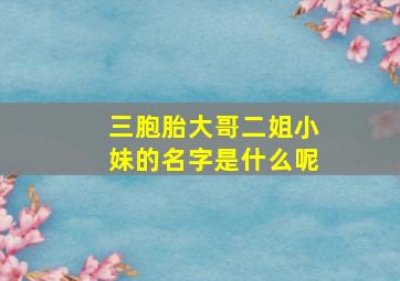 三胞胎大哥二姐小妹的名字是什么呢